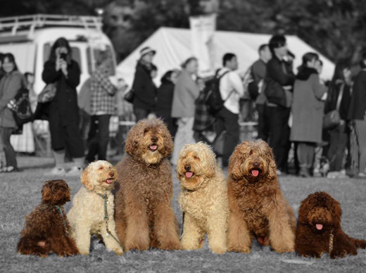 15073542_695675257258645_57454252_4