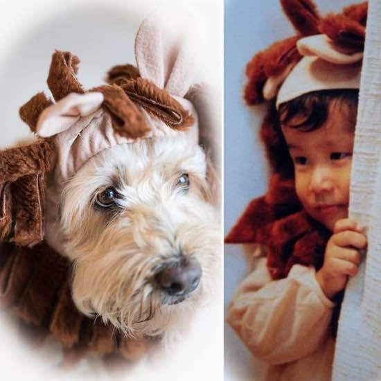 45263624_1116510771841756_580605177