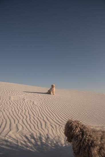 20190902_dsc45602 20190902_dsc45602