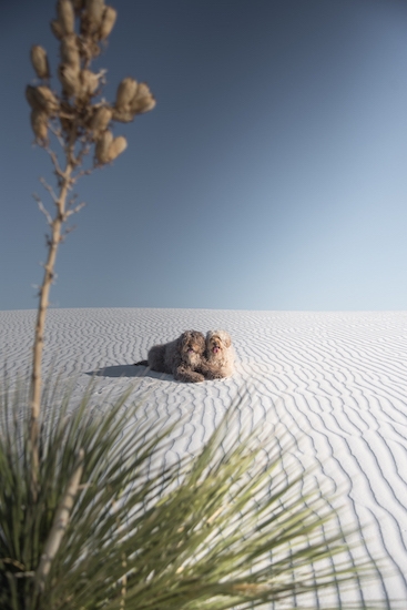 20190902_dsc45632 20190902_dsc45632