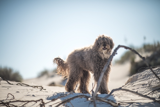 20190902_dsc63232 20190902_dsc63232