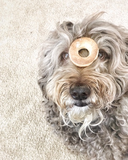 2d187a2f1d32431f80b05cacc7c7afee 2d187a2f1d32431f80b05cacc7c7afee