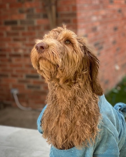 4b4773dbb8f4464e9e49cd8d94e91b74 4b4773dbb8f4464e9e49cd8d94e91b74