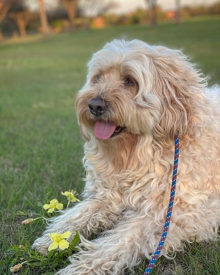 56ff90a66cc4484ba9b789ff3adfd933 56ff90a66cc4484ba9b789ff3adfd933