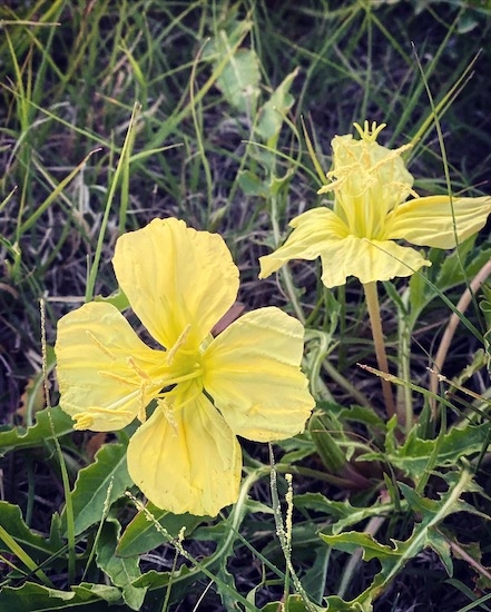 61444ac6b1084cd5b9bd7f89d12a4e5a 61444ac6b1084cd5b9bd7f89d12a4e5a