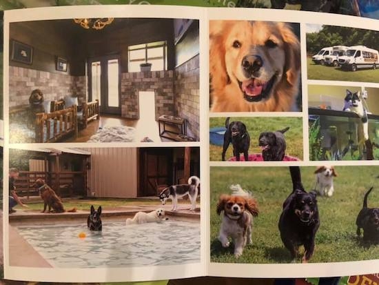 64350533_1269547766538055_80283709595325