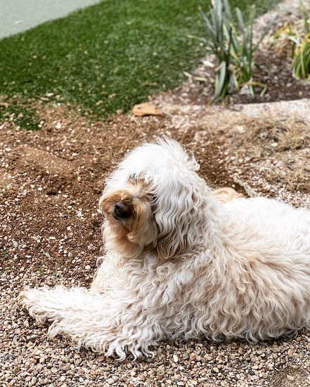 765d1909eaf4451fbc986d8da7528f86