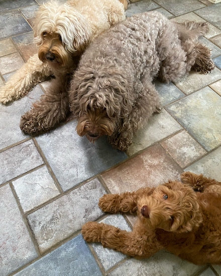 9dd32f1c56074218a915fa3e6c79e80f 9dd32f1c56074218a915fa3e6c79e80f