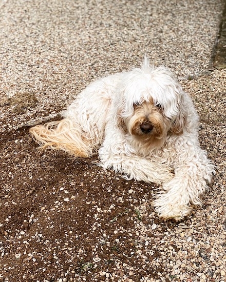 E6e3845444db427284bfde42bdf68924