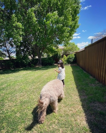 F4b6e14706204269bf0751a871262204 F4b6e14706204269bf0751a871262204