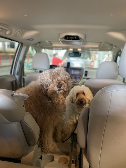 Img_3050_20191030014801 Img_3050_20191030014801