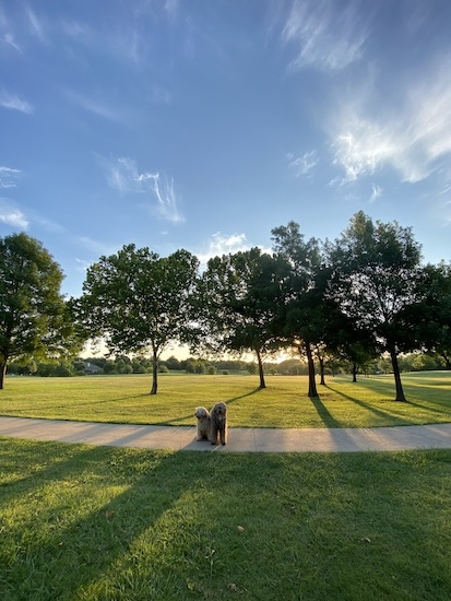 Img_9873_20200617123201 Img_9873_20200617123201