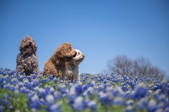 Unknown2_20221003125401