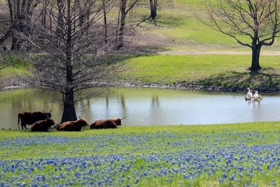 Unknown3_20221003125401