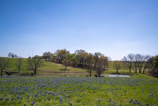 Unknown4_20221003125401