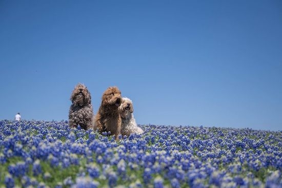 Unknown_20221003125401