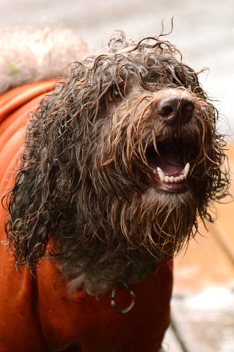 Dsc_2467_2 Dsc_2467_2