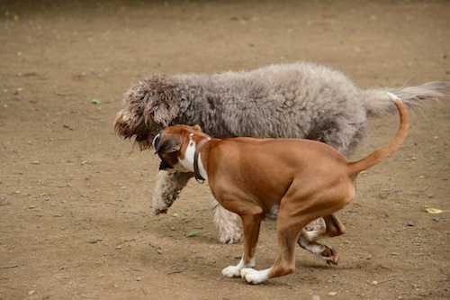 Dsc_3635_2 Dsc_3635_2