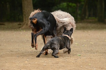 Dsc_3642_3 Dsc_3642_3