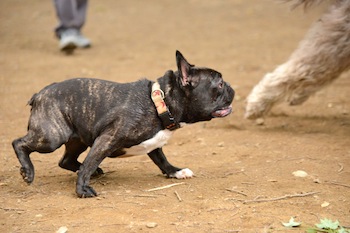 Dsc_3647_3 Dsc_3647_3