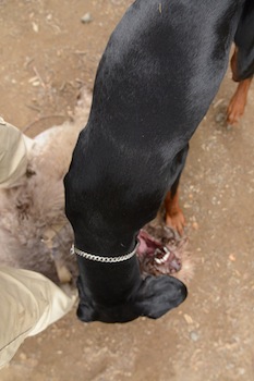 Dsc_3657_4 Dsc_3657_4