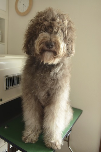 Dsc_5974_3 Dsc_5974_3