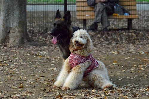 Dsc_1042_2 Dsc_1042_2