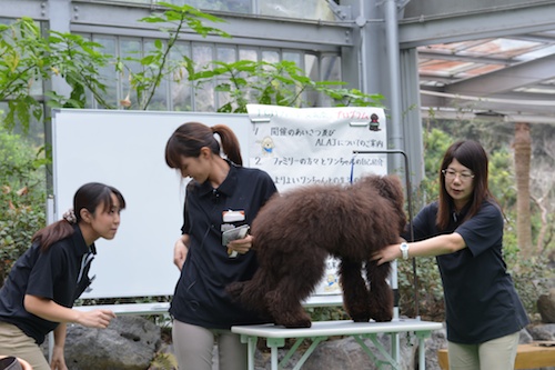 Dsc_1418_2 Dsc_1418_2