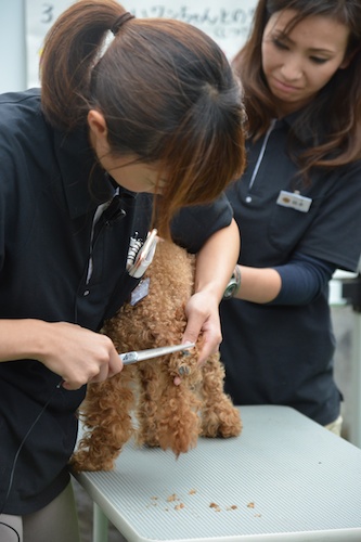 Dsc_1422_2 Dsc_1422_2