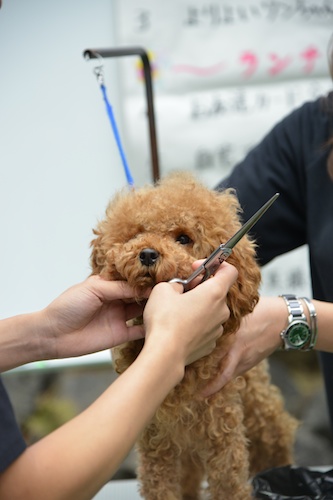 Dsc_1425_2 Dsc_1425_2