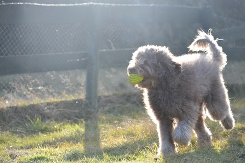 Dsc_3726_2 Dsc_3726_2