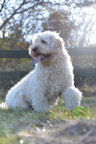 Dsc_3740_2 Dsc_3740_2