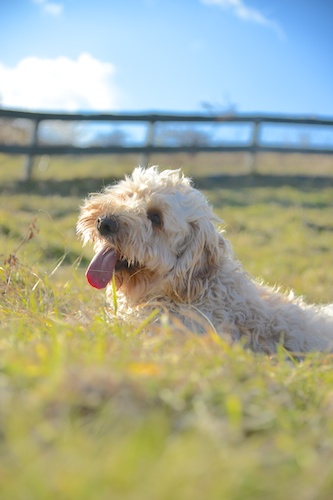 Dsc_3763_1 Dsc_3763_1