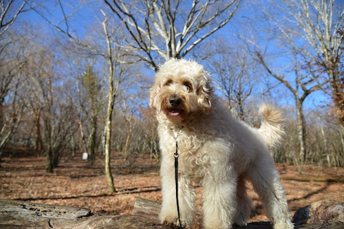 Dsc_6420_2 Dsc_6420_2