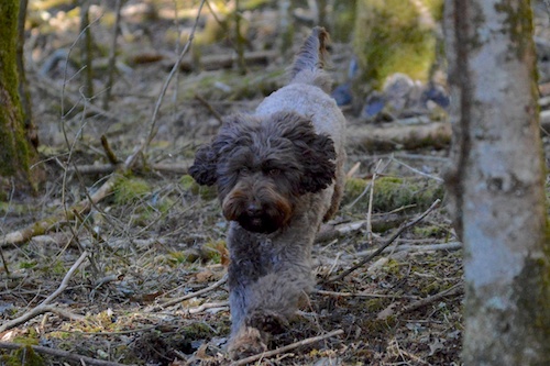 Dsc_6474_2 Dsc_6474_2