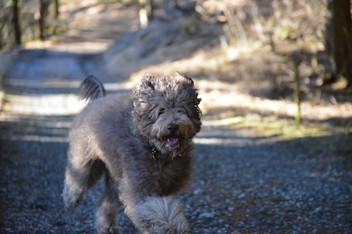 Dsc_6482_2 Dsc_6482_2