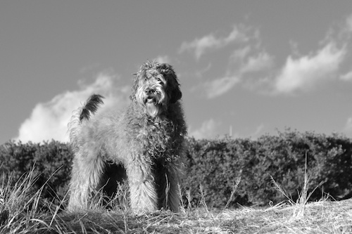 Dsc_0141_3 Dsc_0141_3