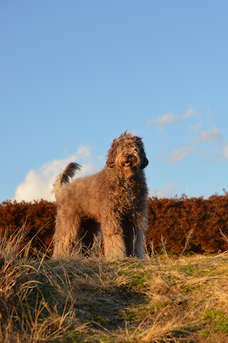 Dsc_0142_1 Dsc_0142_1