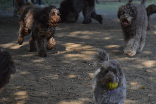 Dsc_0125_2 Dsc_0125_2