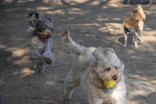 Dsc_0131_3 Dsc_0131_3