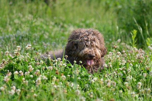 Dsc_0009_2 Dsc_0009_2