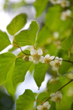 Dsc_0011_5 Dsc_0011_5