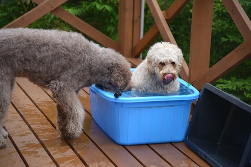 Dsc_0020_2 Dsc_0020_2