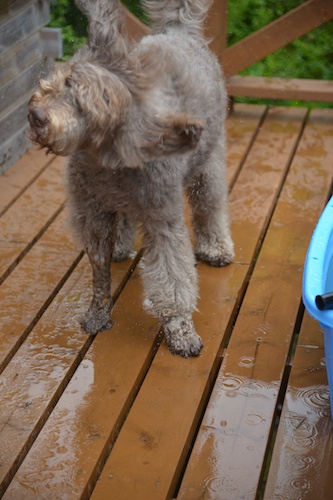 Dsc_0038_2 Dsc_0038_2