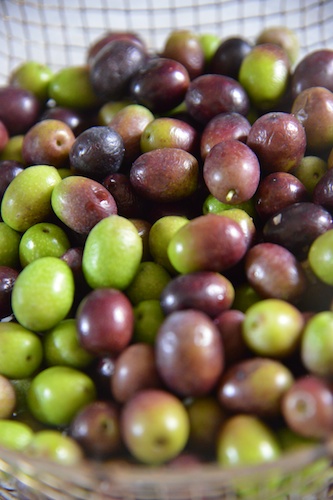 Dsc_0007_1 Dsc_0007_1