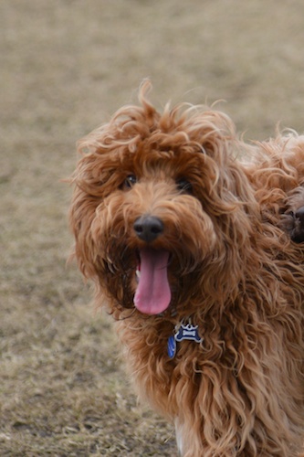 Dsc_0016_2 Dsc_0016_2