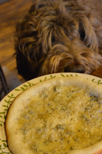 Dsc_0020_2 Dsc_0020_2