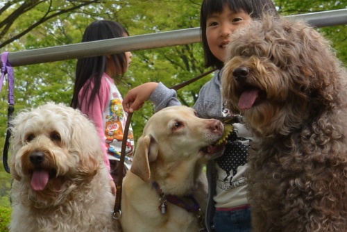 Dsc_0171_2 Dsc_0171_2