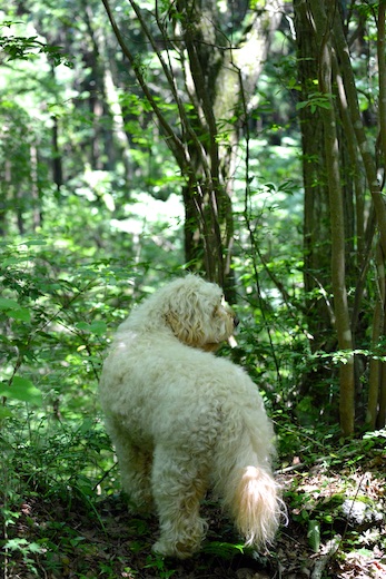 Dsc_7877_2 Dsc_7877_2