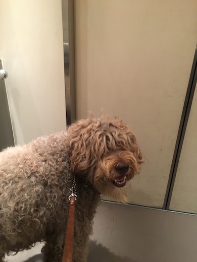 Img_3879_2 Img_3879_2